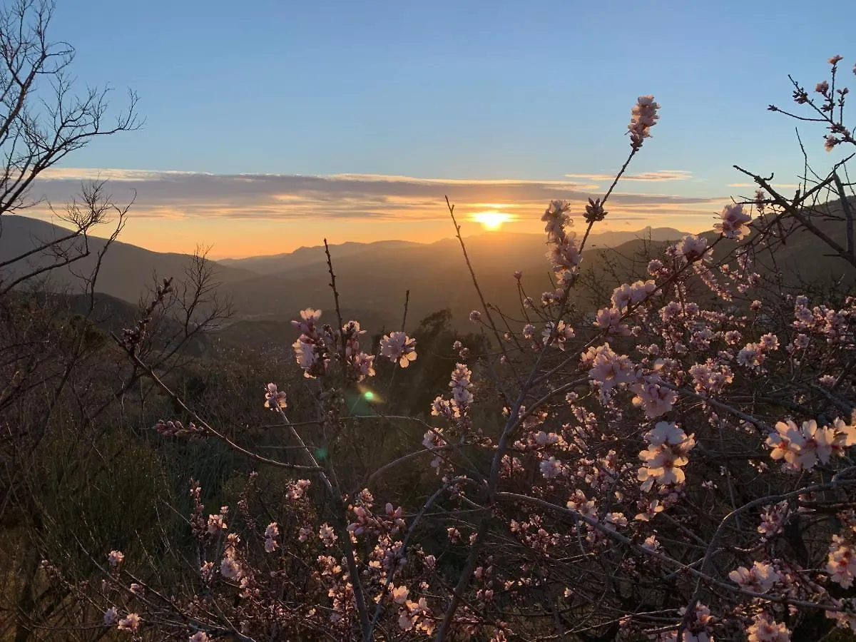 Finca Las Fuentezuelas Carataunas